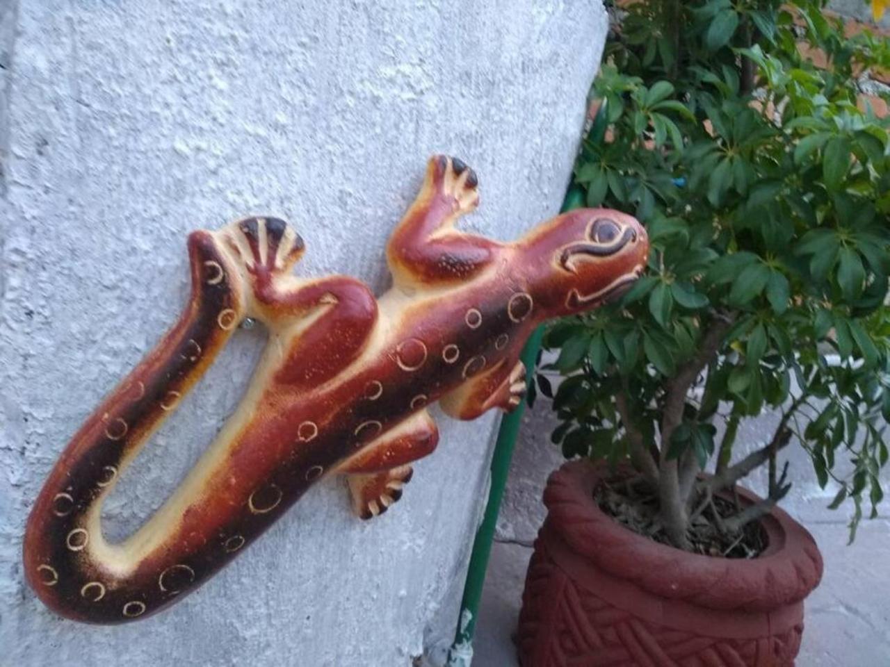 Casa Alebrijes Villa Tequila Bagian luar foto